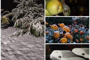 Kai kur Lietuvoje gerokai prisnigo: žiema atėjo į kiemą